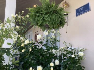 Villa Sole - Old Town NOTL